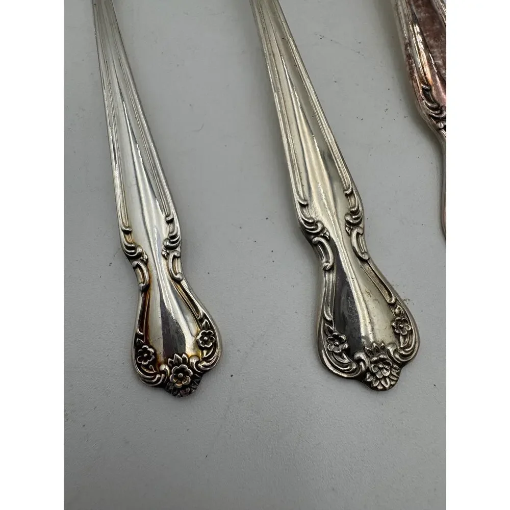 Vintage Silverplate Daybreak-Elegant Lady Silverplate Serving Pieces 6 Pc